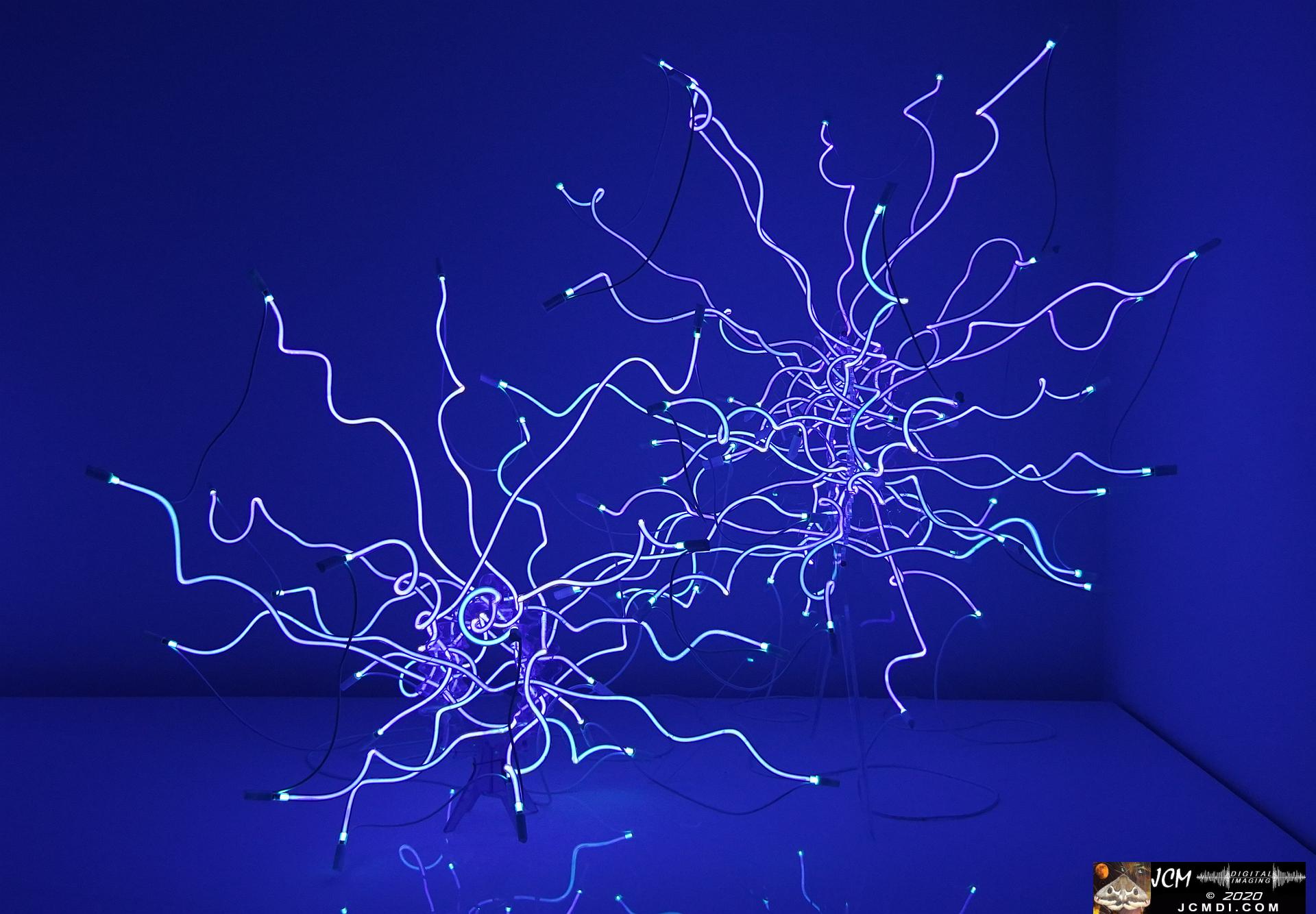 20200930 CheekWood Chihuly - neon light sculptures